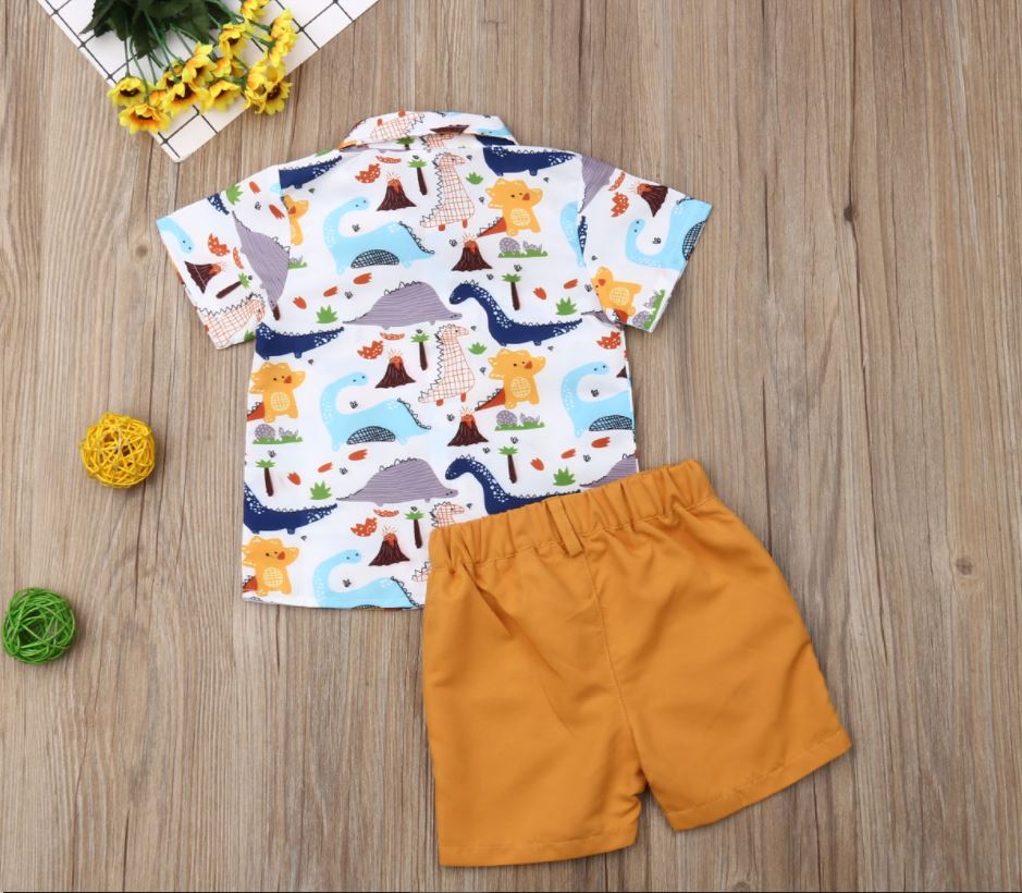 Boys Dinosaur Outfits