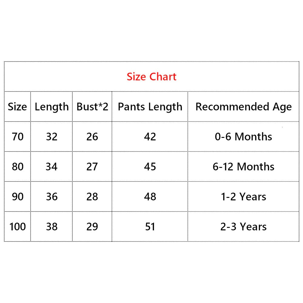 Baby Girls Clothing Set (0-3 years)