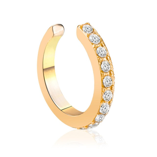 Fashion Clip Earring For Women