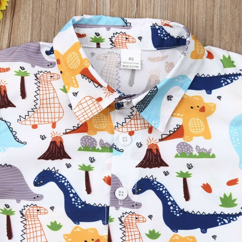 Boys Dinosaur Outfits